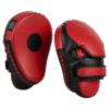 Boxing Bolt Focus Pad