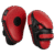 Boxing Bolt Focus Pad